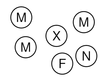 une portion de la fiche