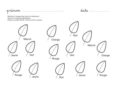 Image de la fiche des feuilles.