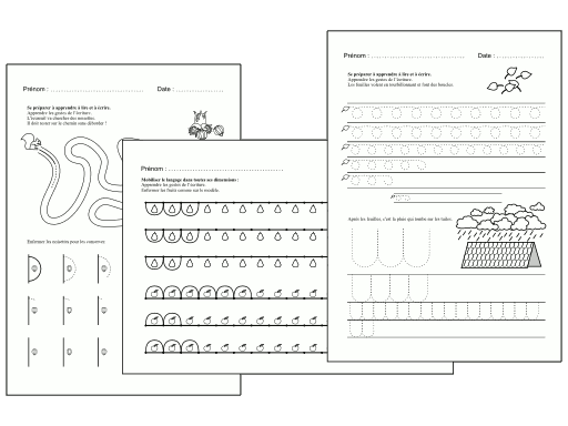 Image des fiches.