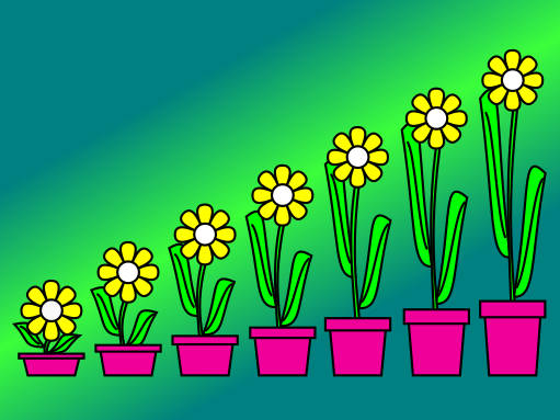 Illustration de 7 fleurs ordonnées.
